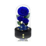 Vryblos 3 Preserved Flowers Roses In Glass Dome For... - Coupon