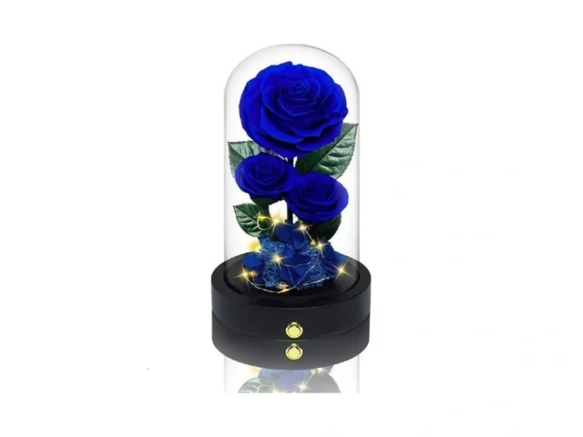 Vryblos 3 Preserved Flowers Roses In Glass Dome For… – Coupon