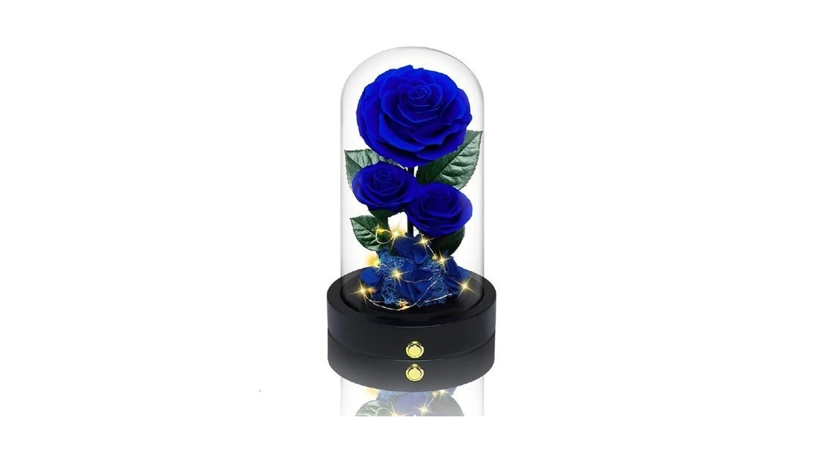 Vryblos 3 Preserved Flowers Roses In Glass Dome For... - Coupon