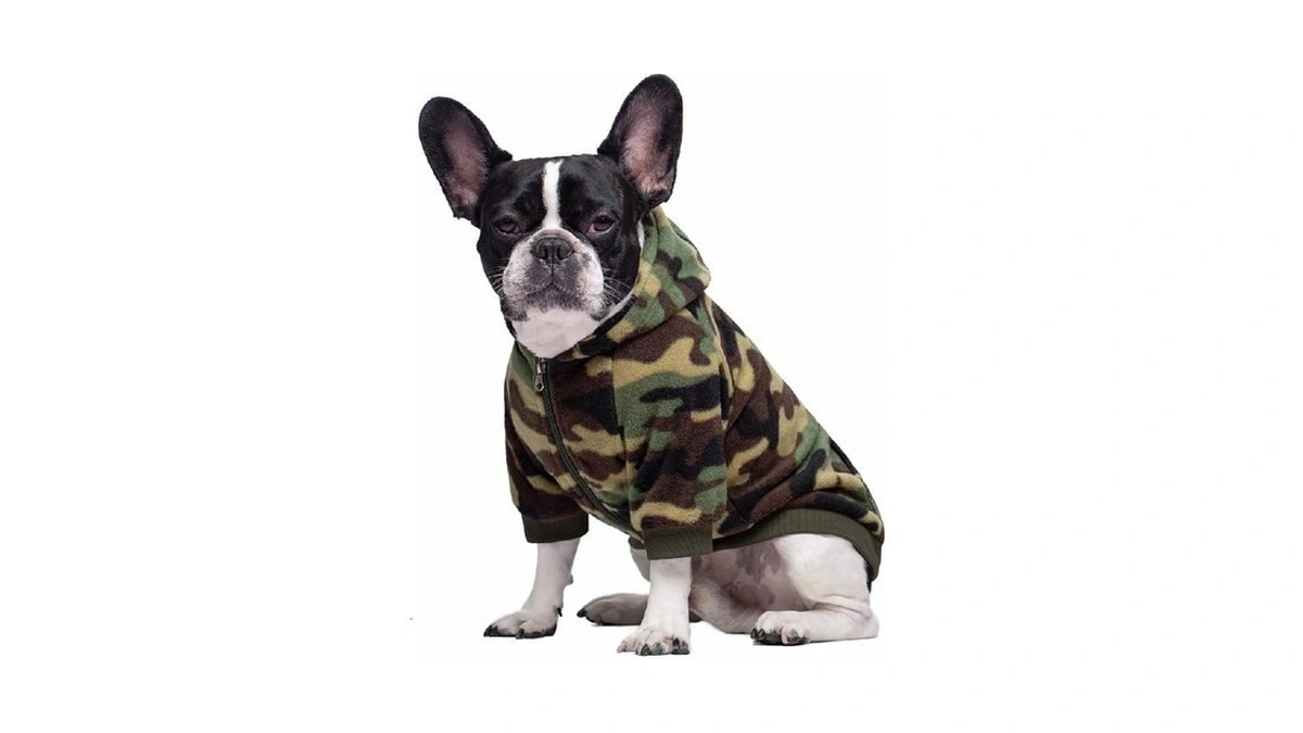 Camo French Bulldog Clothes Dog Hoodie Sweatshirts... - Coupon