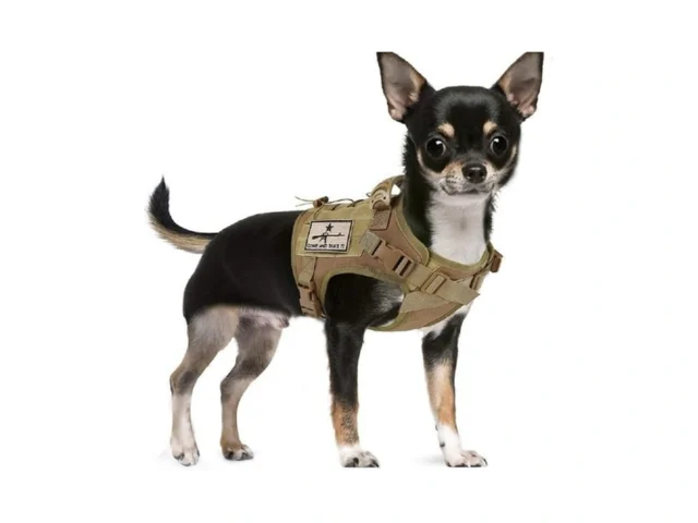 Salfse Tactical Dog Training Harness Outdoor… – Coupon