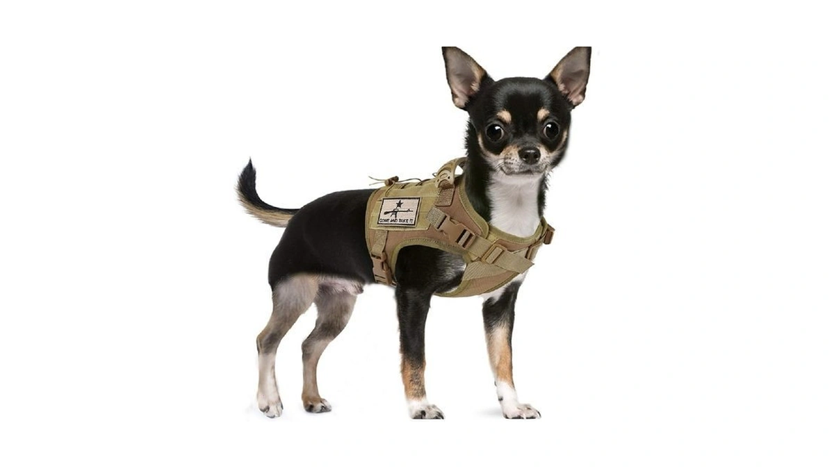 Salfse Tactical Dog Training Harness Outdoor... - Coupon