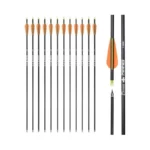 26 Inch Carbon Arrow Hunting Arrows With 100 Grain... - Coupon