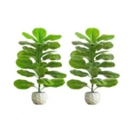 Fsohoi 2 Pack Artificial Fiddle Leaf Fig Tree 2 5ft... - Coupon