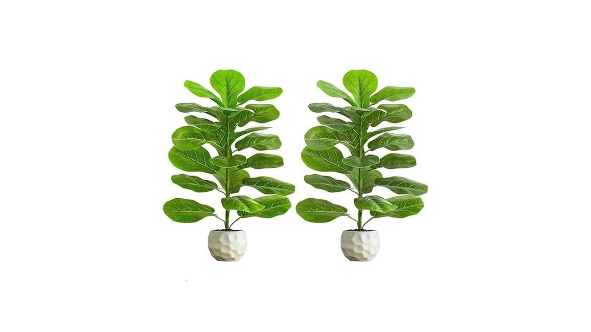 Fsohoi 2 Pack Artificial Fiddle Leaf Fig Tree 2 5ft... - Coupon