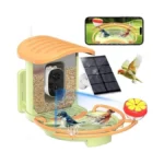 Bird Feeder Camera With Ai Bird Recognition 2k Hd... - Coupon