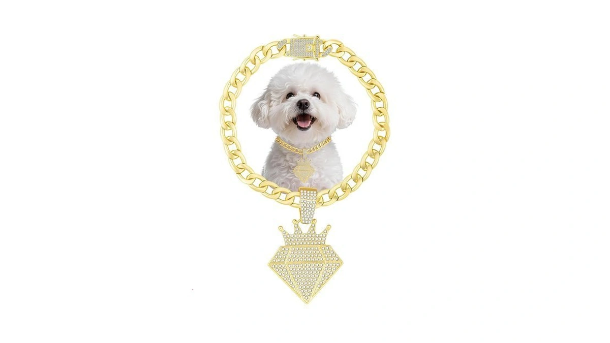 Kynox Cuban Gold Link Heavy Duty Necklace Dog Cat... - Coupon