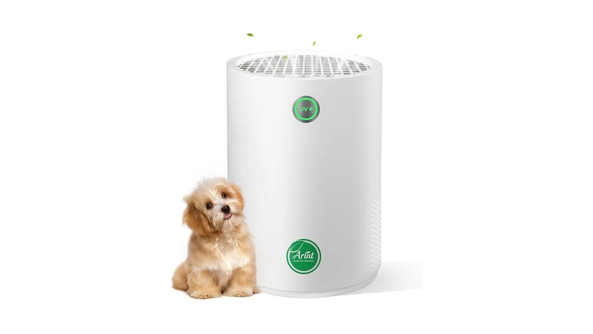 Arint Air Purifiers For Bedroom H13 True Hepa Air... - Coupon