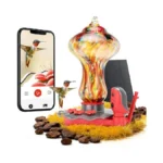 Tt Nature Glass Smart Hummingbird Feeder With... - Coupon