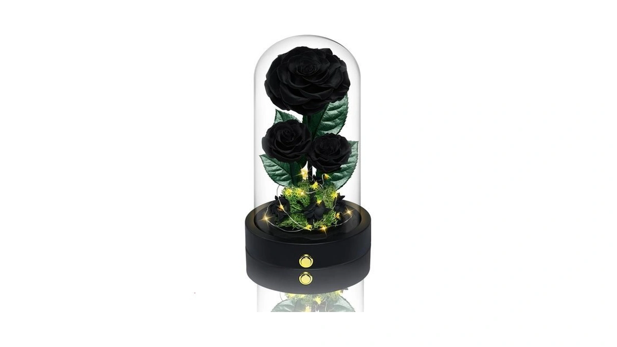 Vryblos 3 Preserved Flowers Roses In Glass Dome For... - Coupon