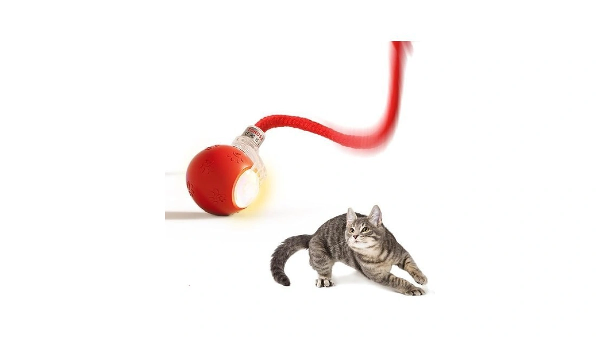 Tonosa Interactive Cat Toys For Bored Indoor Cats -... - Coupon