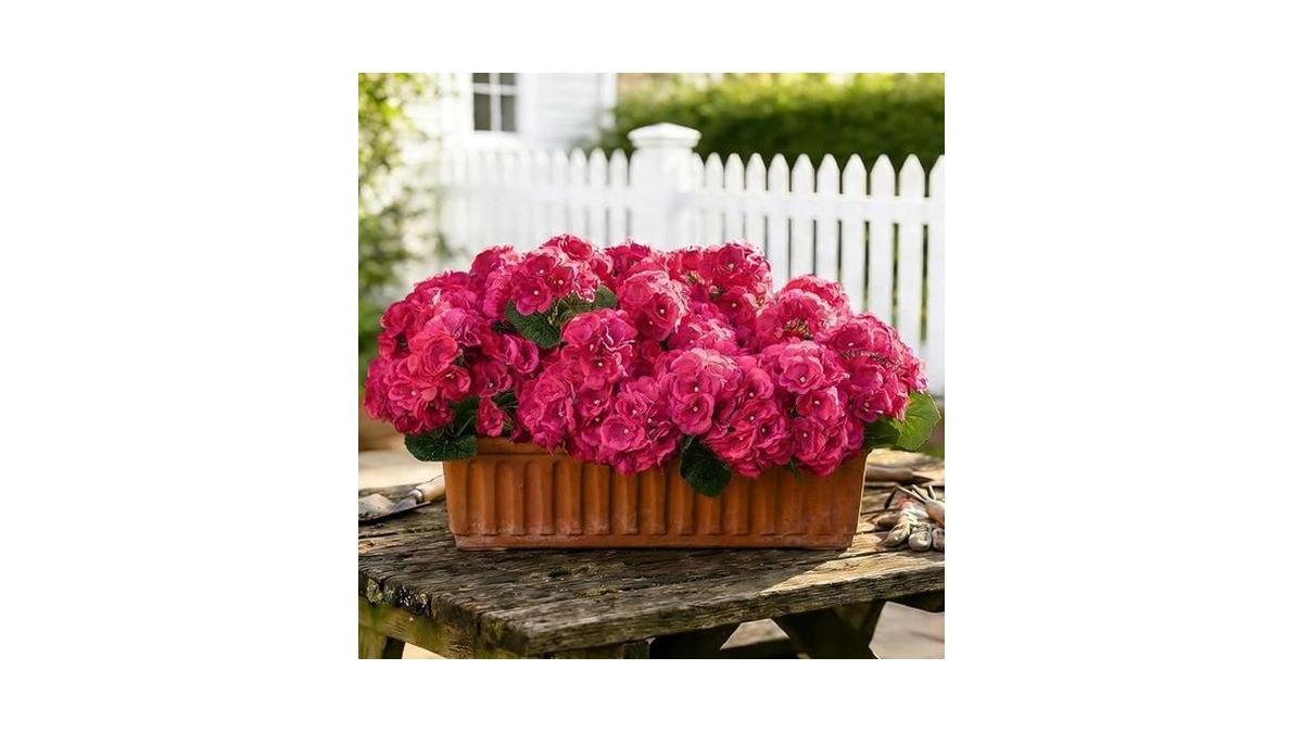 Amorise 12 Bundles Artificial Geranium Flowers For... - Coupon