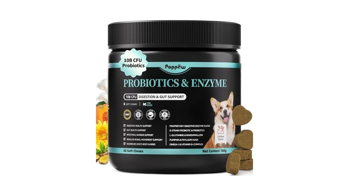 Probiotics For Dogs Digestive Enzymes Pumpkin Fiber... - Coupon