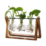 Xxxflower Plant Terrarium With Wooden Stand Air... - Coupon