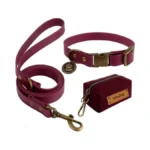 Wisedog Waterproof Dog Collar And Leash Set... - Coupon