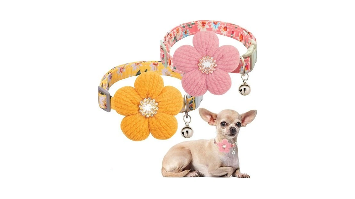 Small Dog Collar With Flower Spring Dog Collar For... - Coupon