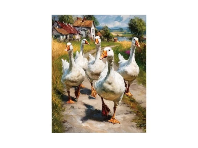 Xtcixal Duck Paint By Numbers Kit For Adults Duck… – Coupon
