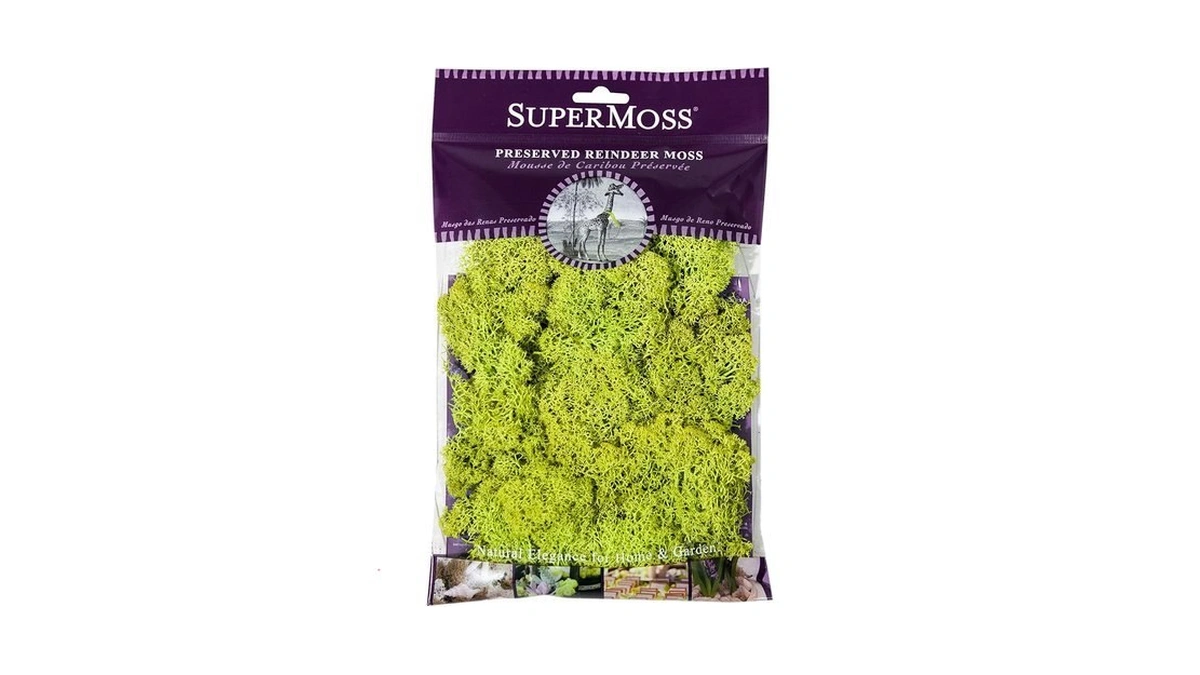 Super Moss 21708 Reindeer Moss Preserved Chartreuse... - Coupon