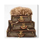Amazon coupon: The Oliver Gal Artist Co Fashion And Gla
