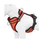 Wisedog Reflective No Pull Dog Harness - Adjustable... - Coupon