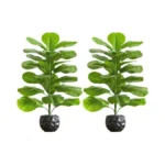 Fsohoi 2 Pack Artificial Fiddle Leaf Fig Tree 2.5ft -