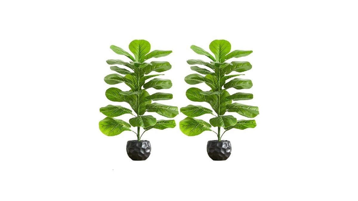 Fsohoi 2 Pack Artificial Fiddle Leaf Fig Tree 2.5ft -