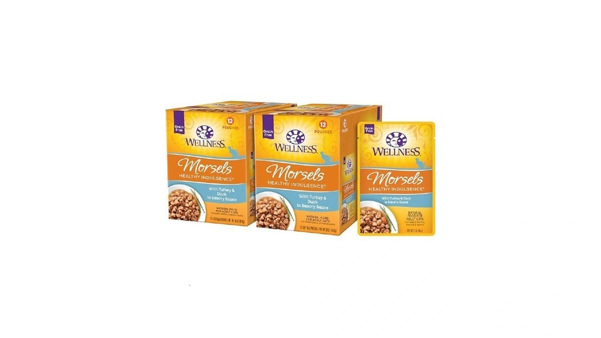 Wellness Healthy Indulgence Morsels Adult Wet Cat Food, Natural, Protein