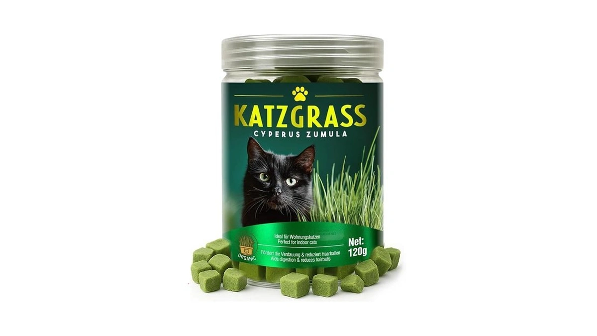 Mochiby Cat Grass Treats For Indoor Cats | Salmon &
