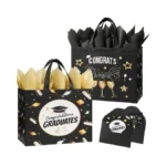 Stypop 2 Pack 13" Large Graduation Gift Bags With Tissue