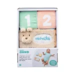 Baby Gund Milestones And Moments Soft Blocks, Plush Photo Prop