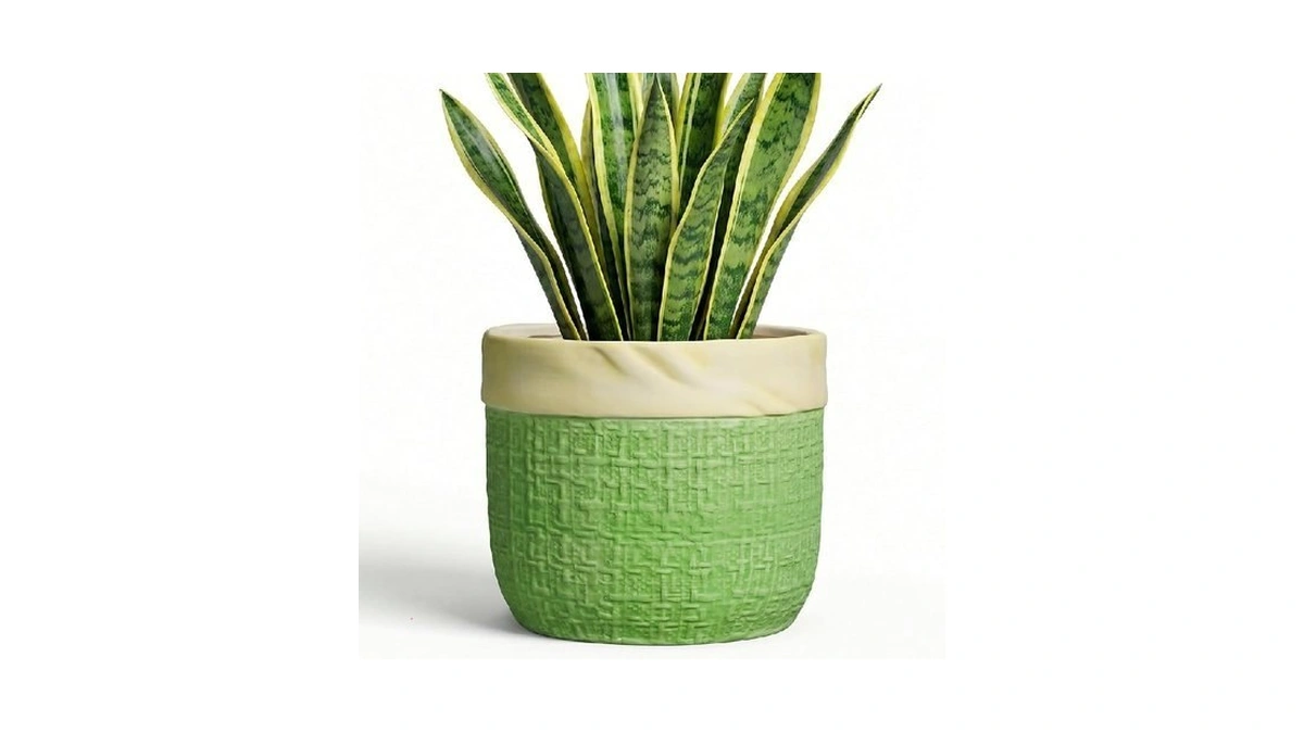 Teagas 8 Inch Plant Pot - Ceramic Pots For Plants