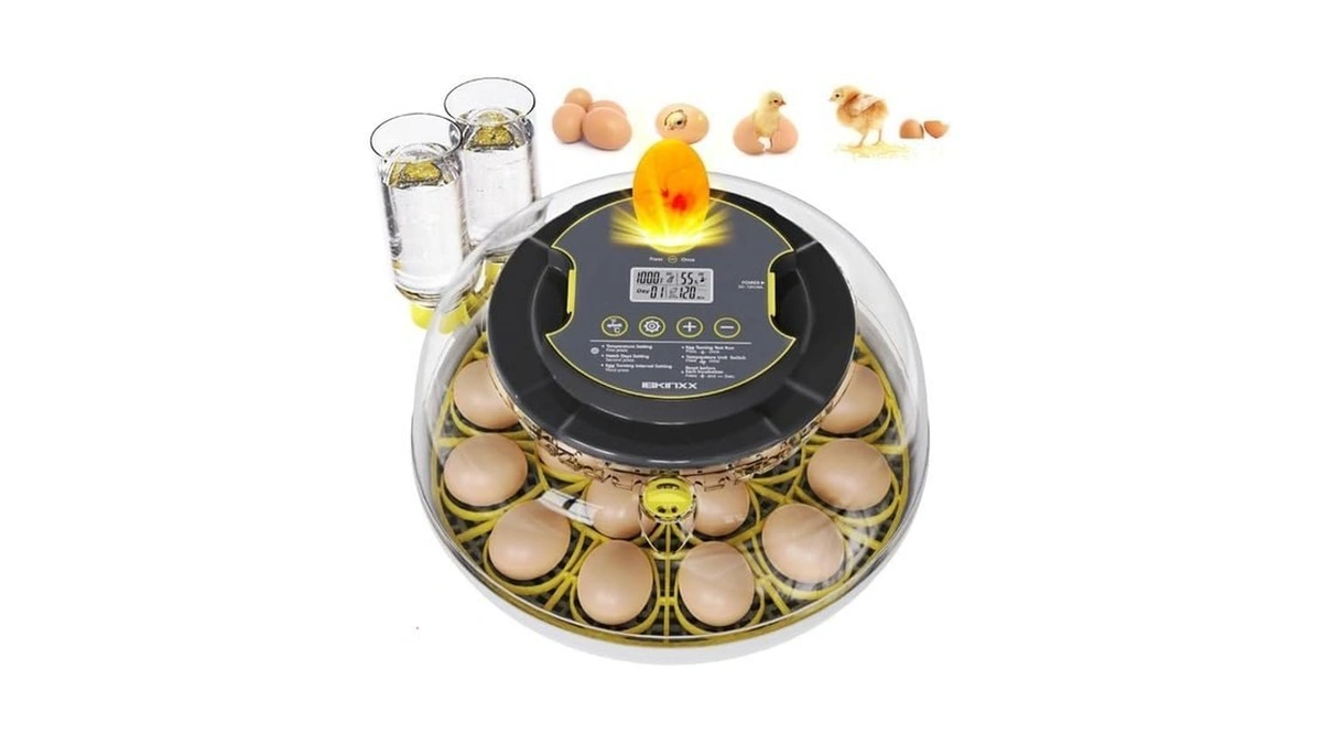 Ibkinxx Incubator For Hatching Eggs-18 Egg Capacity, Newly Upgraded Automatic