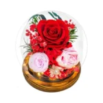 Renaissant Preserved Red Roses In Glass Dome - Eternal Flowers,