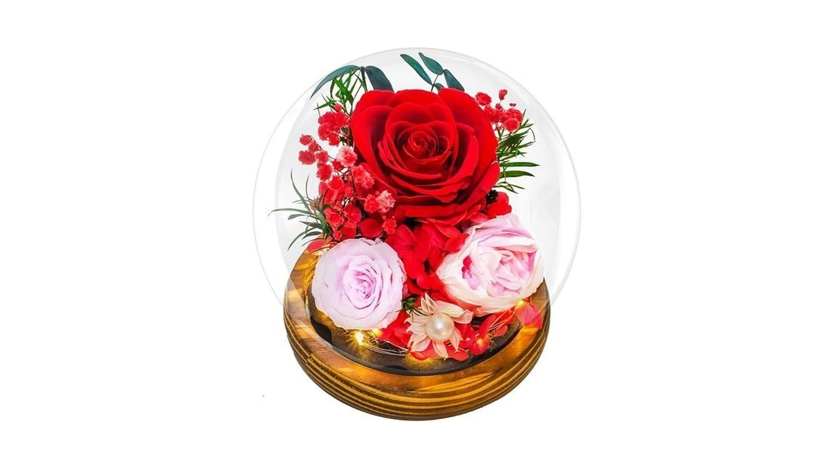 Renaissant Preserved Red Roses In Glass Dome - Eternal Flowers,