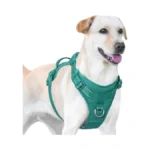 Sunraymascota No Pull Dog Harness, Reflective Puppy Vest For Small