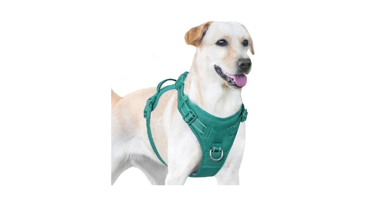 Sunraymascota No Pull Dog Harness, Reflective Puppy Vest For Small