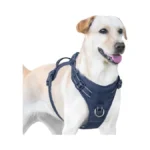Sunraymascota No Pull Dog Harness, Reflective Puppy Vest For Small
