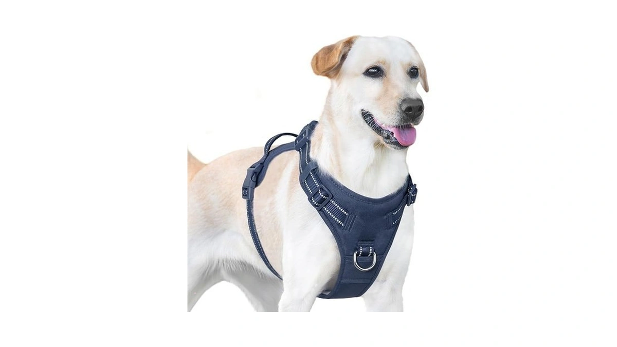 Sunraymascota No Pull Dog Harness, Reflective Puppy Vest For Small