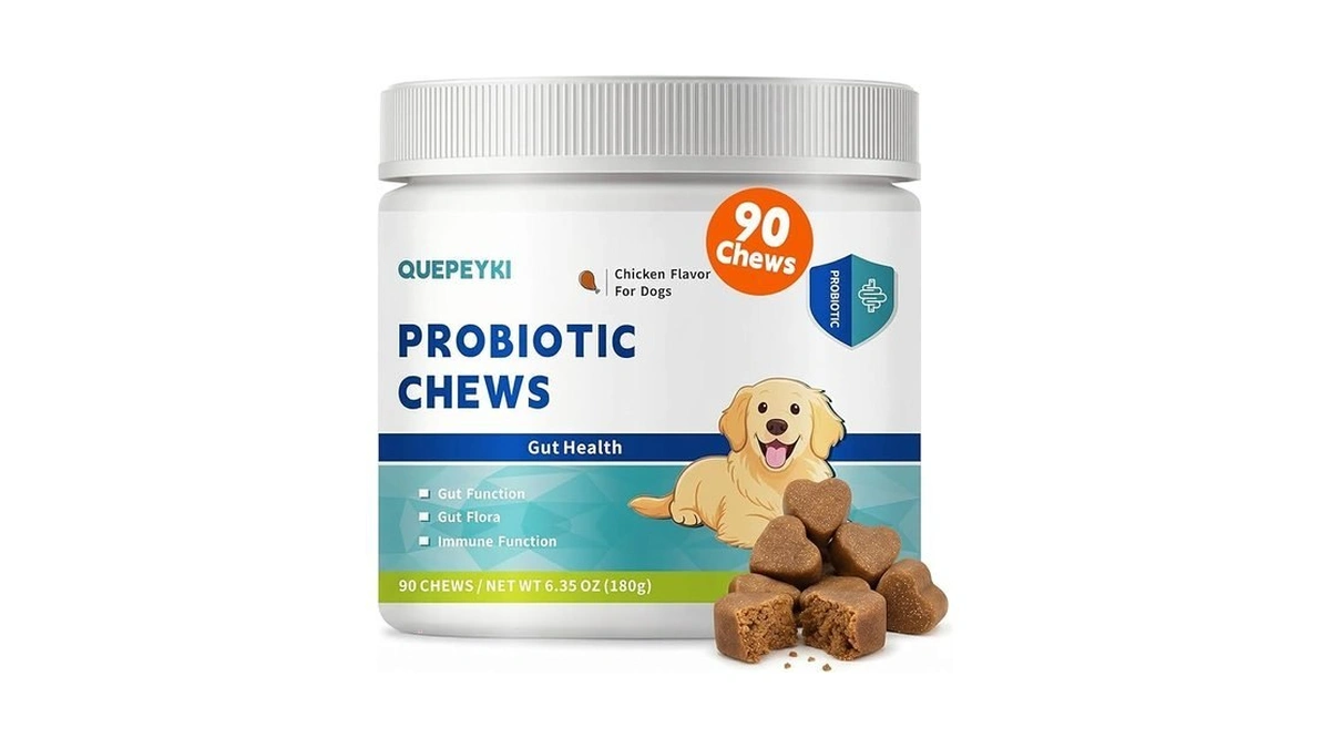 Dog Probiotics Soft Chews - 1.6 Billion Cfu Digestive Enzymes