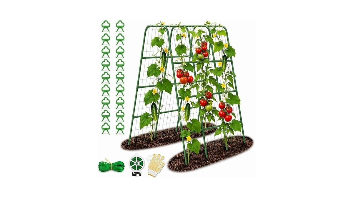 Garden Trellis For Cucumbers, 63” Tall Plant Trellis With 16mm