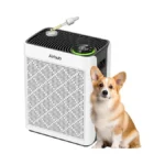 Airhub Air Purifiers For Home Large Room, Aham Verified, Hepa