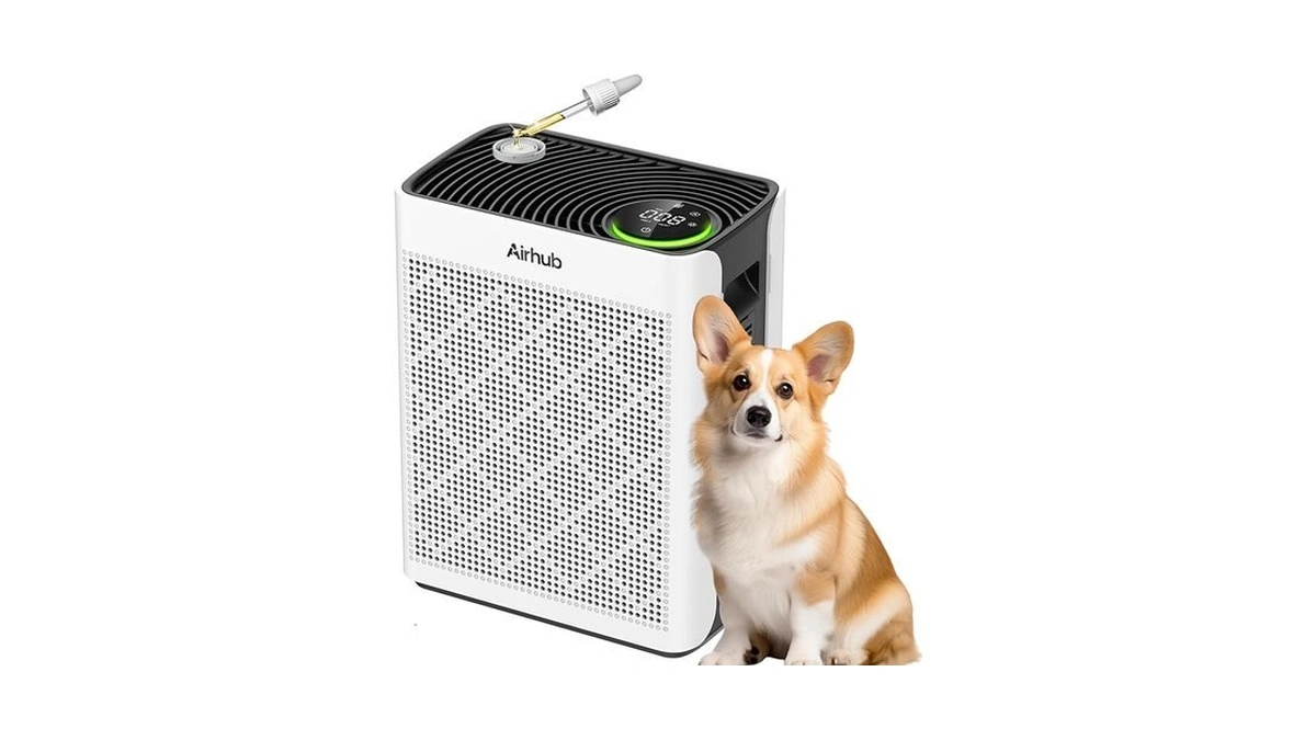 Airhub Air Purifiers For Home Large Room, Aham Verified, Hepa