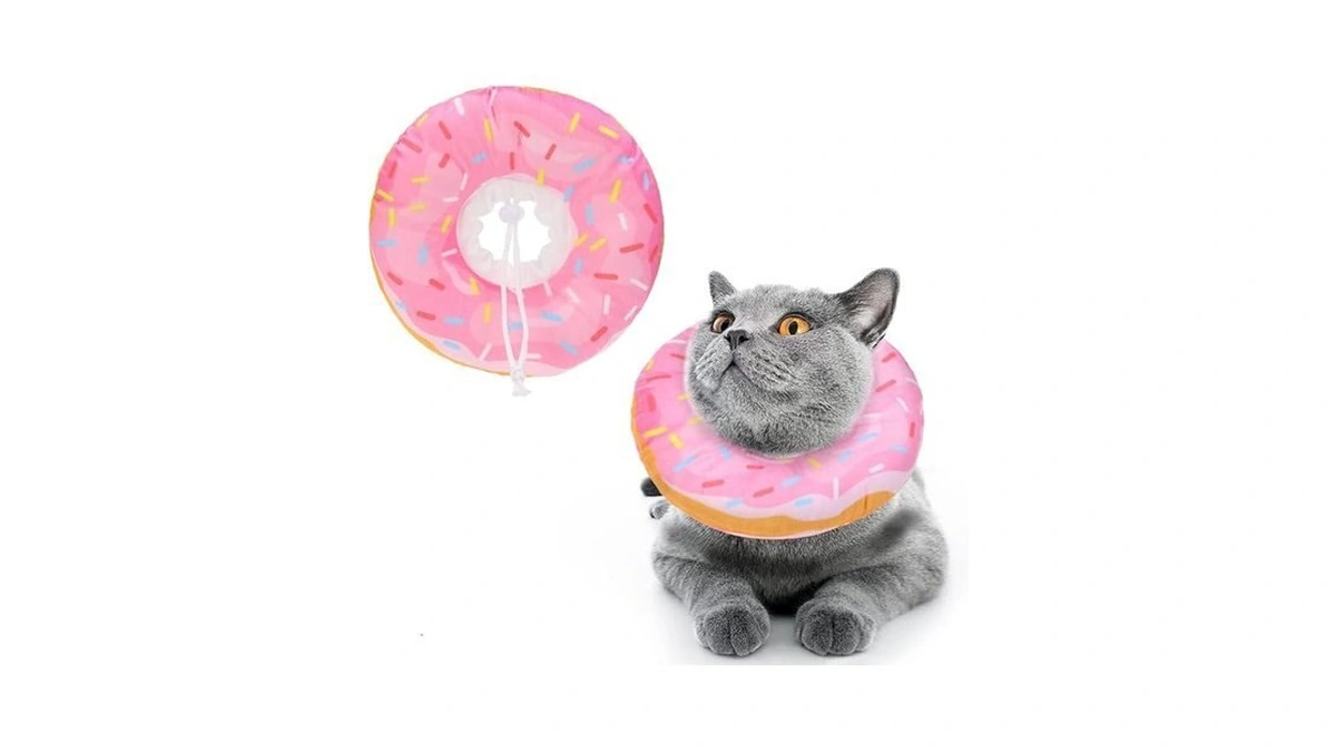 Bingpet Soft Donut Cat & Small Dog Recovery Collar, Adjustable