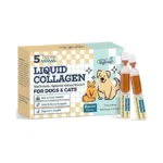 Liquid Collagen Ampoules For Dogs & Cats, Skin & Coat