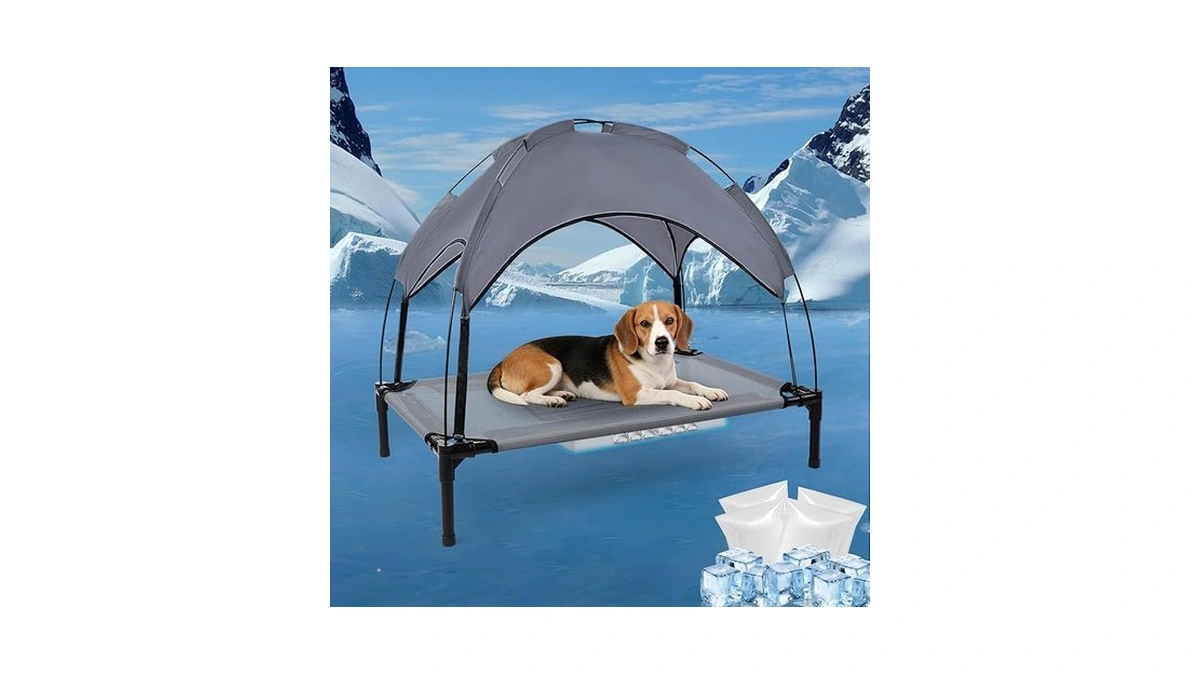 34.3'' Outdoor Elevated Dog Bed With Canopy, Raised Dogs Bed