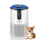 Air Purifiers For Bedroom, Koios H13 Hepa Air Purifiers For