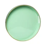 Spsyrine Round Green Plastic Decorative Tray, 13'' Modern Tray With