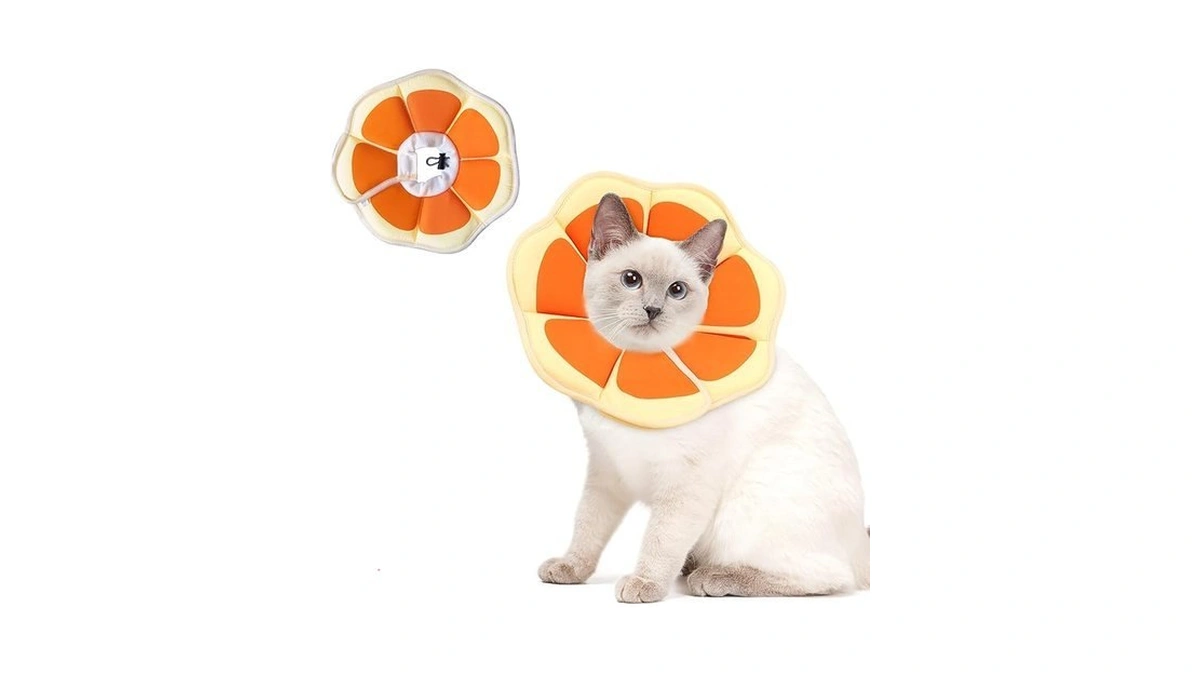Cat Cone Collar Soft, Comfortable E Collar For Cats After