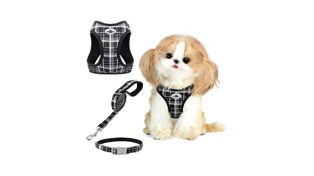 Gyuzh Cat Harness And Leash Set For Puppies - 3
