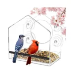 Jarkyfine Window Bird Feeder With Strong Suction Cups - Clear